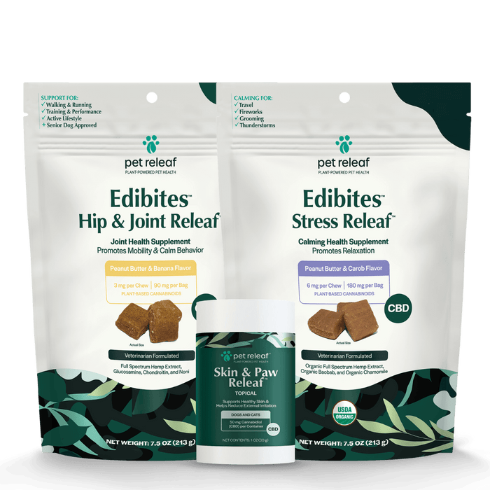 Essential Dog Supplement Routine