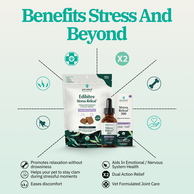Calming Bundle