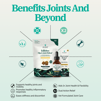 Mobility Hemp Bundle for Dogs