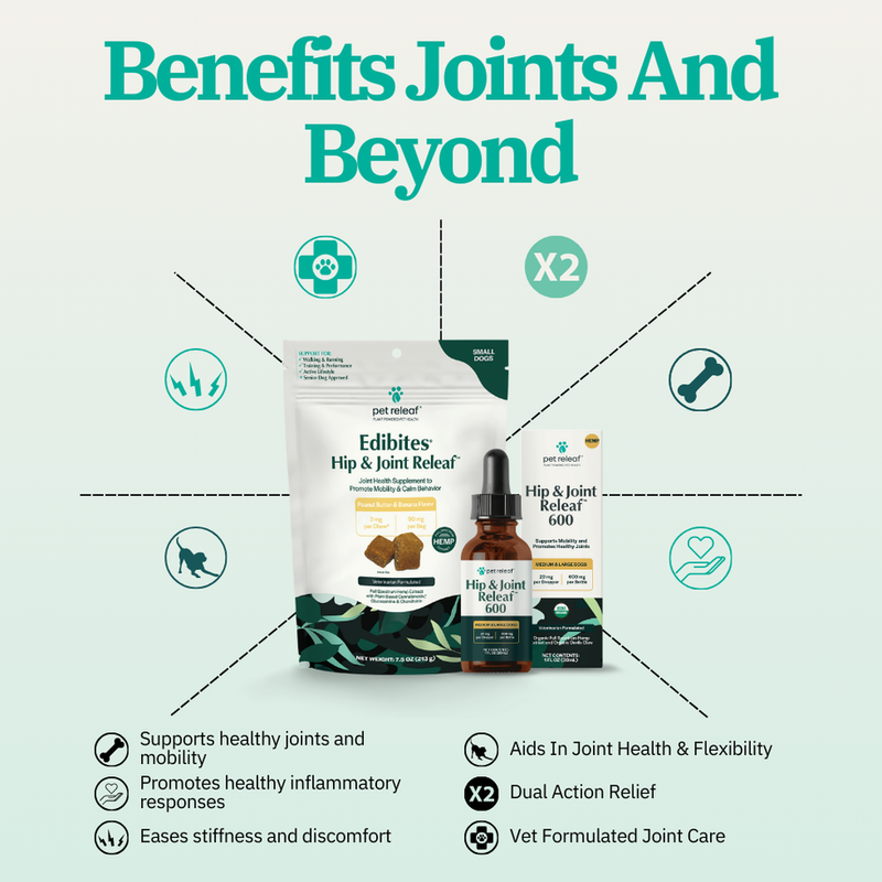 Mobility Hemp Bundle for Dogs