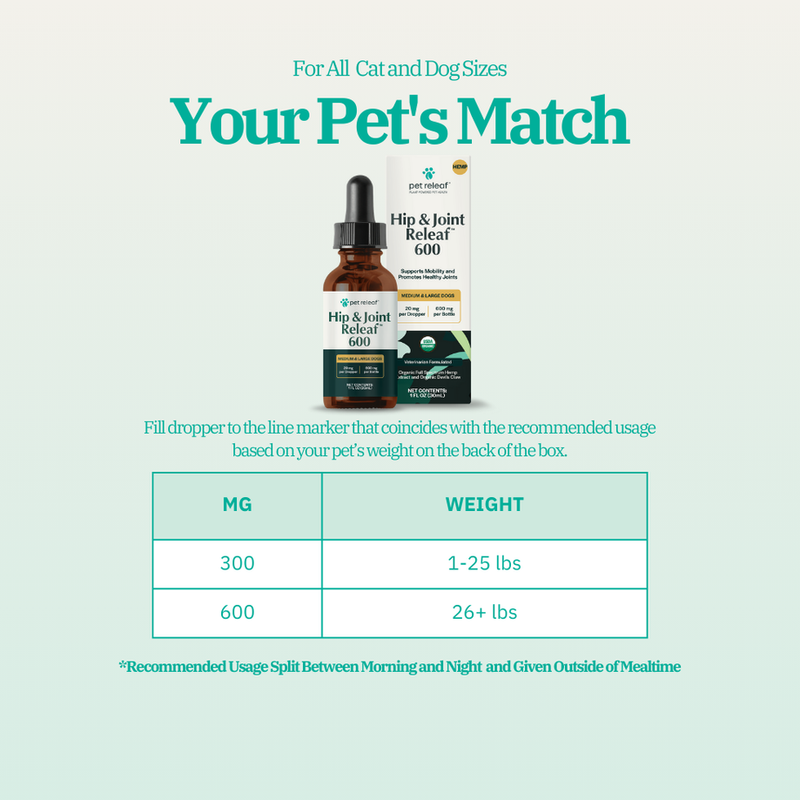 Mobility Hemp Bundle for Dogs