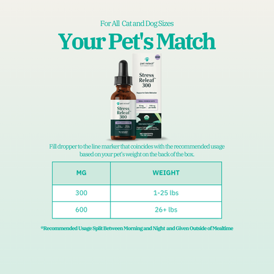 Calming Hemp Bundle for Dogs
