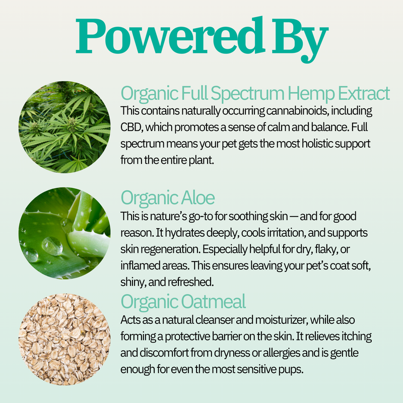 Allergies Bundle: Natural Support for Your Pet’s Skin and Coat