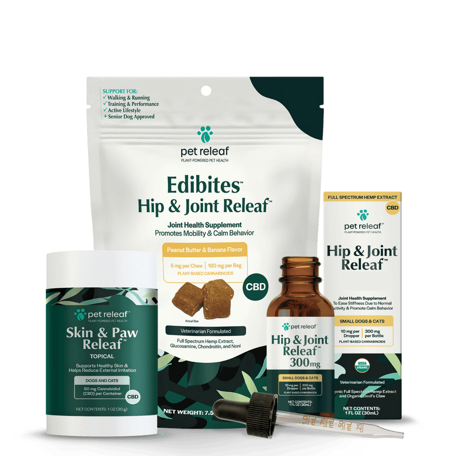 Dog Mobility + Walk Routine product image
