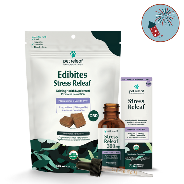Calming Routine for Dogs