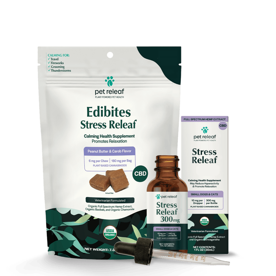 Calming Routine for Dogs